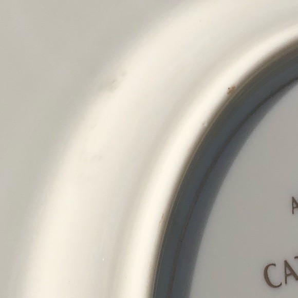 Gorham True Vintage Fine China Porcelain 1976 Cathedral Pink Roses Art Plate - Picture 16 of 16